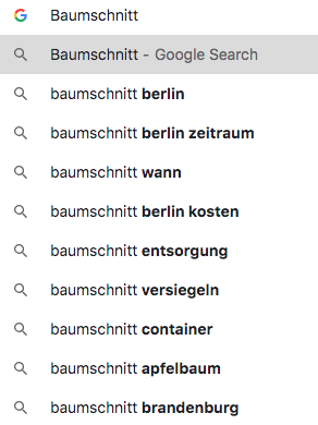 Website erstellen 3 google auto suggest beispiel baumschnitt